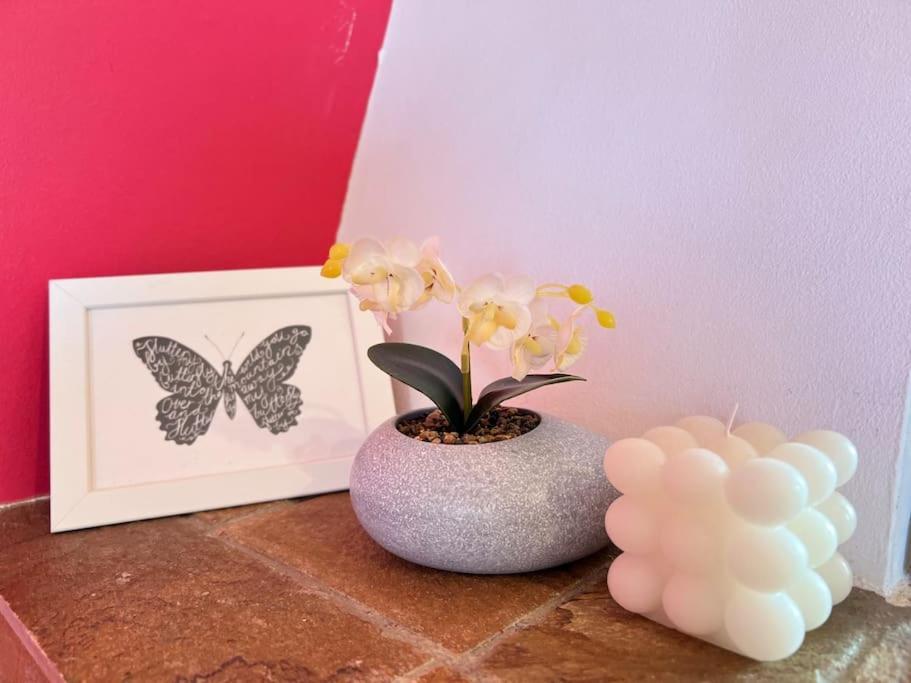 Cozy Fairytal Garden Apartment, Family Friendly, Free Parking, 15 Min To Airport アテネ エクステリア 写真